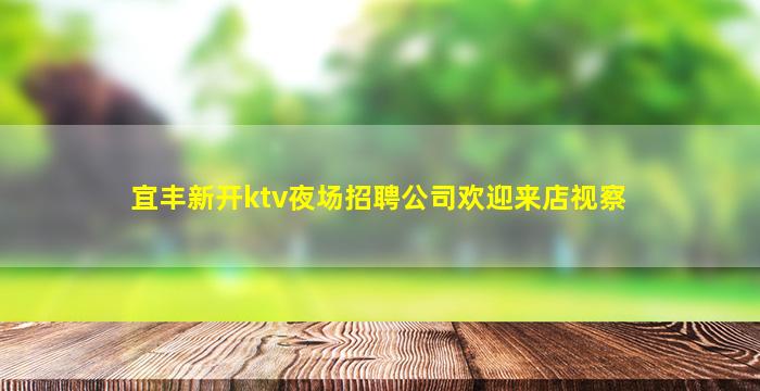 宜丰新开ktv夜场招聘公司欢迎来店视察
